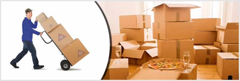 SSP Packers and Movers-9585550193 packers and movers in nagercoil