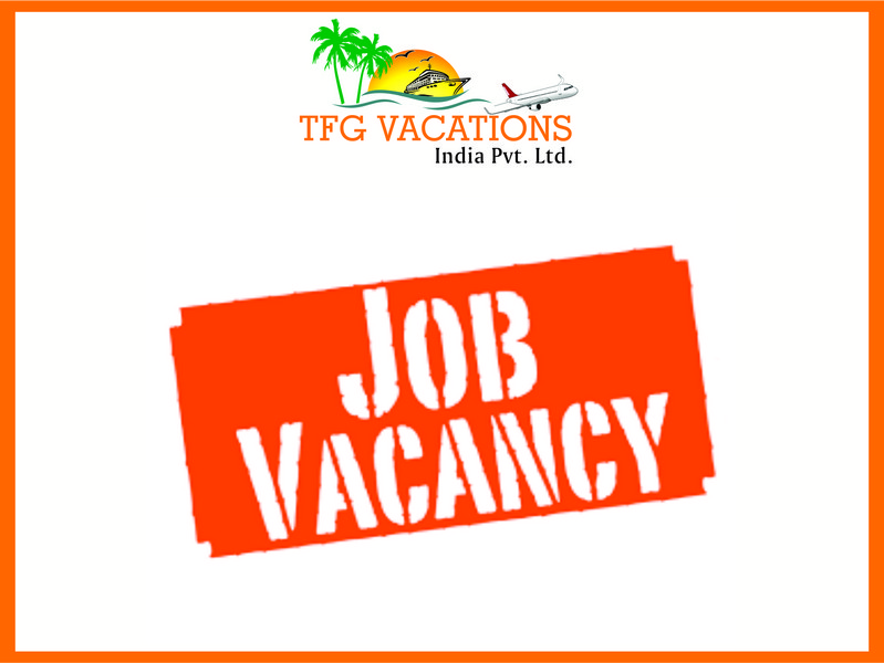 Internet Marketing Jobs-Fresher / Working