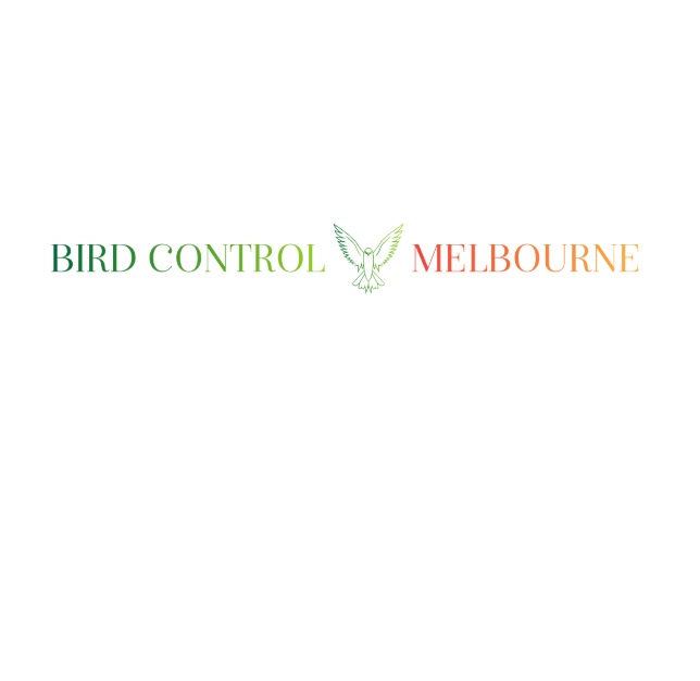 Effective Bird Removal Melbourne Services by Bird Control Meeboune