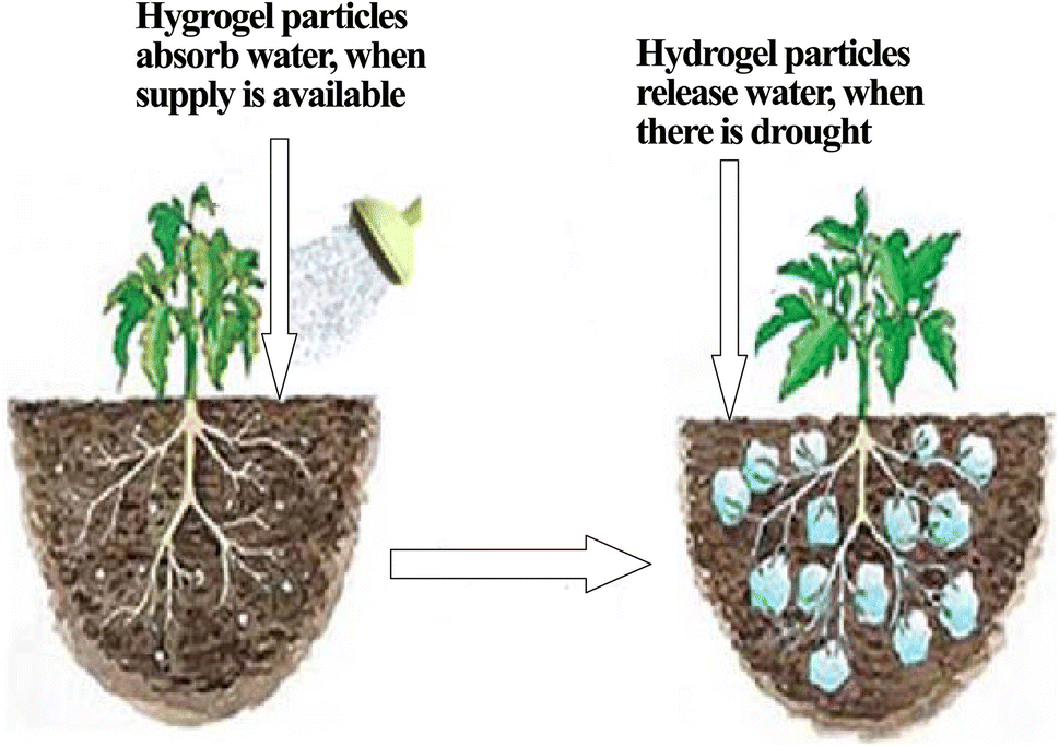 Hydrogel manufacturers and suppliers in India