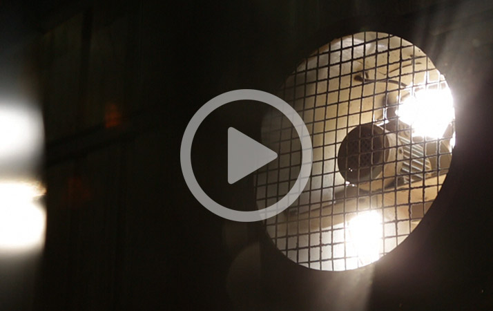 Effective And Engaging Corporate Film Makers In Mumbai | Urbanblinks
