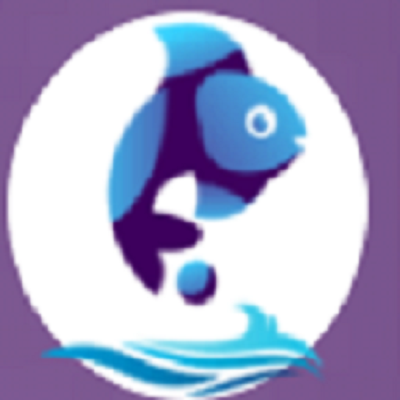 Web Development Company In Mumbai - Fish Eye Advertising