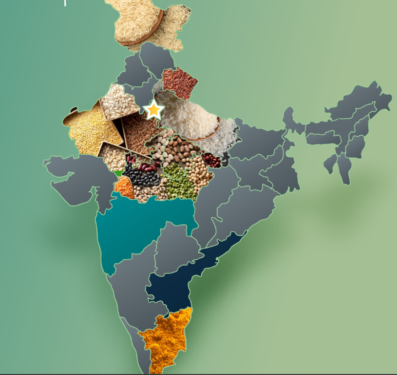 Nature Pearls - Top Export Quality Rice in India