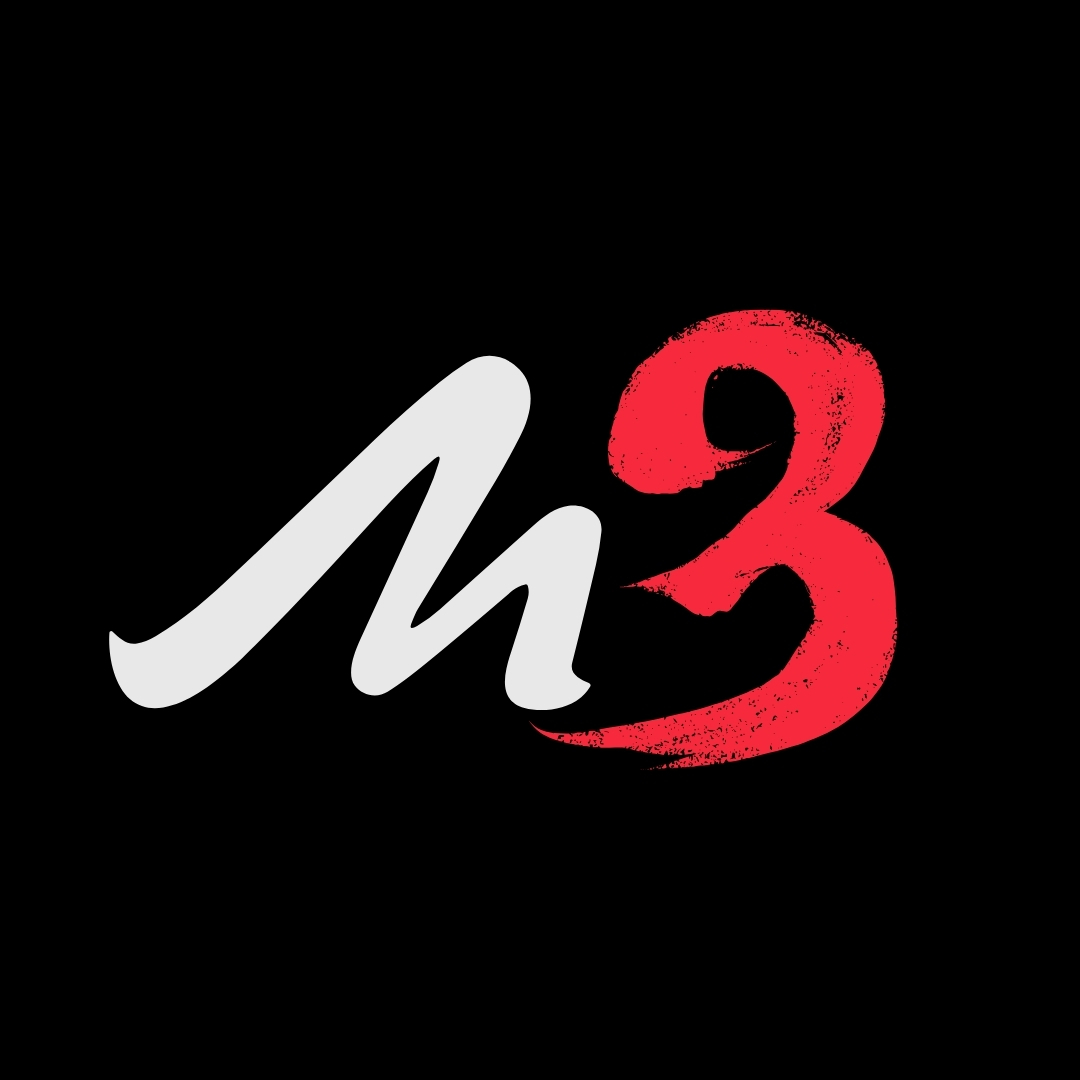 Top Digital Marketing Agency in India – Boost Your ROI with Media3