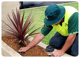 Jims Mowing Lawn Perth