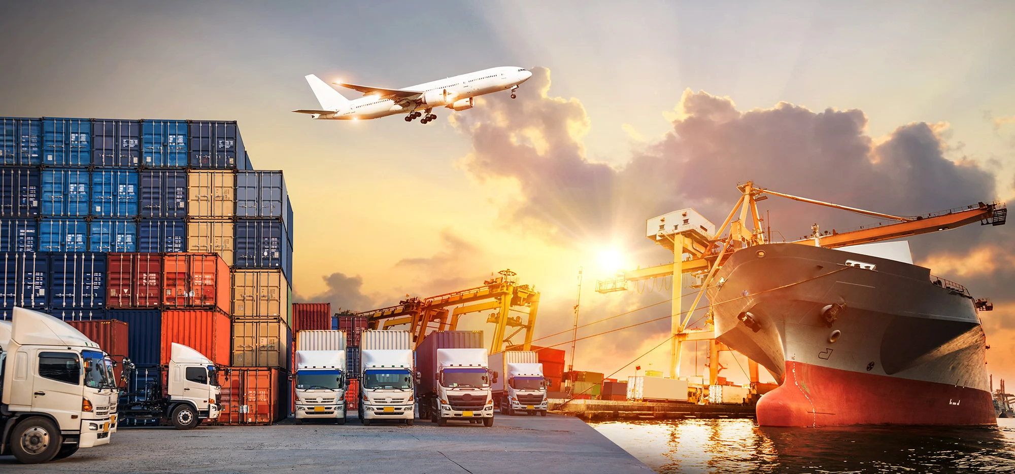 Comprehensive International Freight Forwarder Services