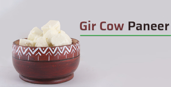 Gir Cow Paneer in Ahmedabad
