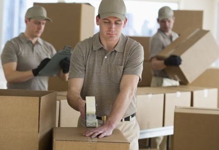 Looking Packers & Movers in Rohtak Call 93 16 46 60 01