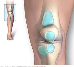 Visit Should pain specialist in New York