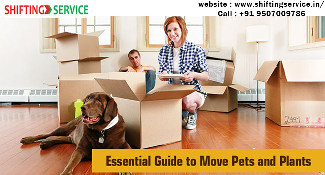 Top 10 best packers and movers in ranchi|shiftingservice.in
