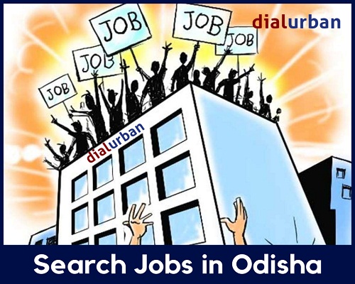 Jobs in Odisha