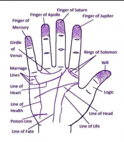 Astrology Consultation In India