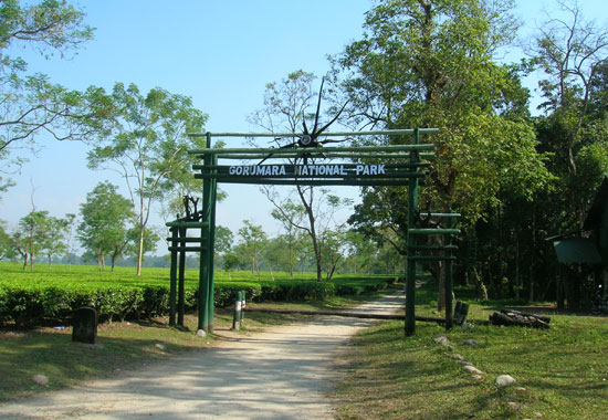 Dooars Package Tour from Kolkata