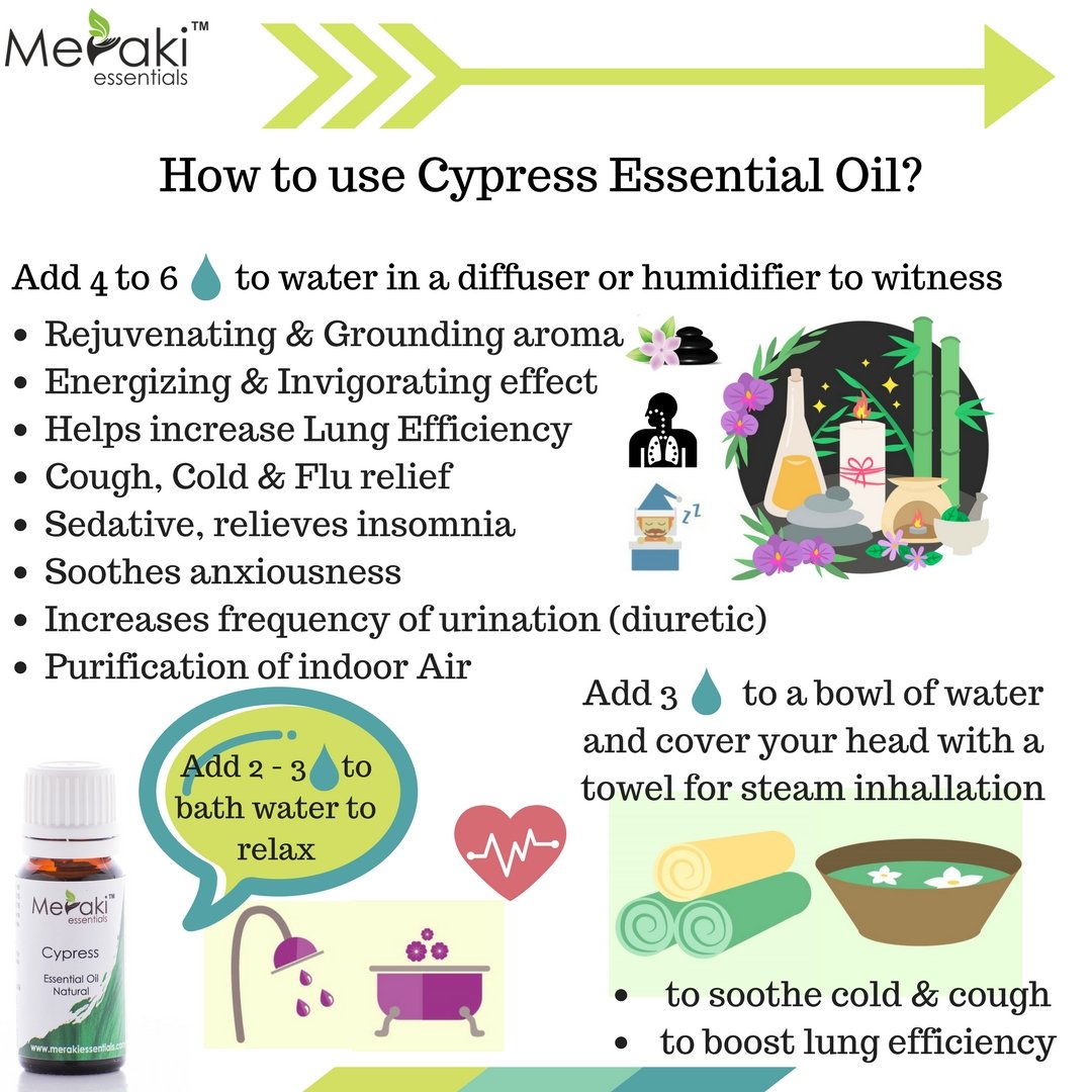 Buy Cypress Essential Oil