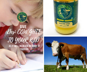 Is your kid facing difficulty in learning math's formula or important dates of history? Give him desi cow ghee
