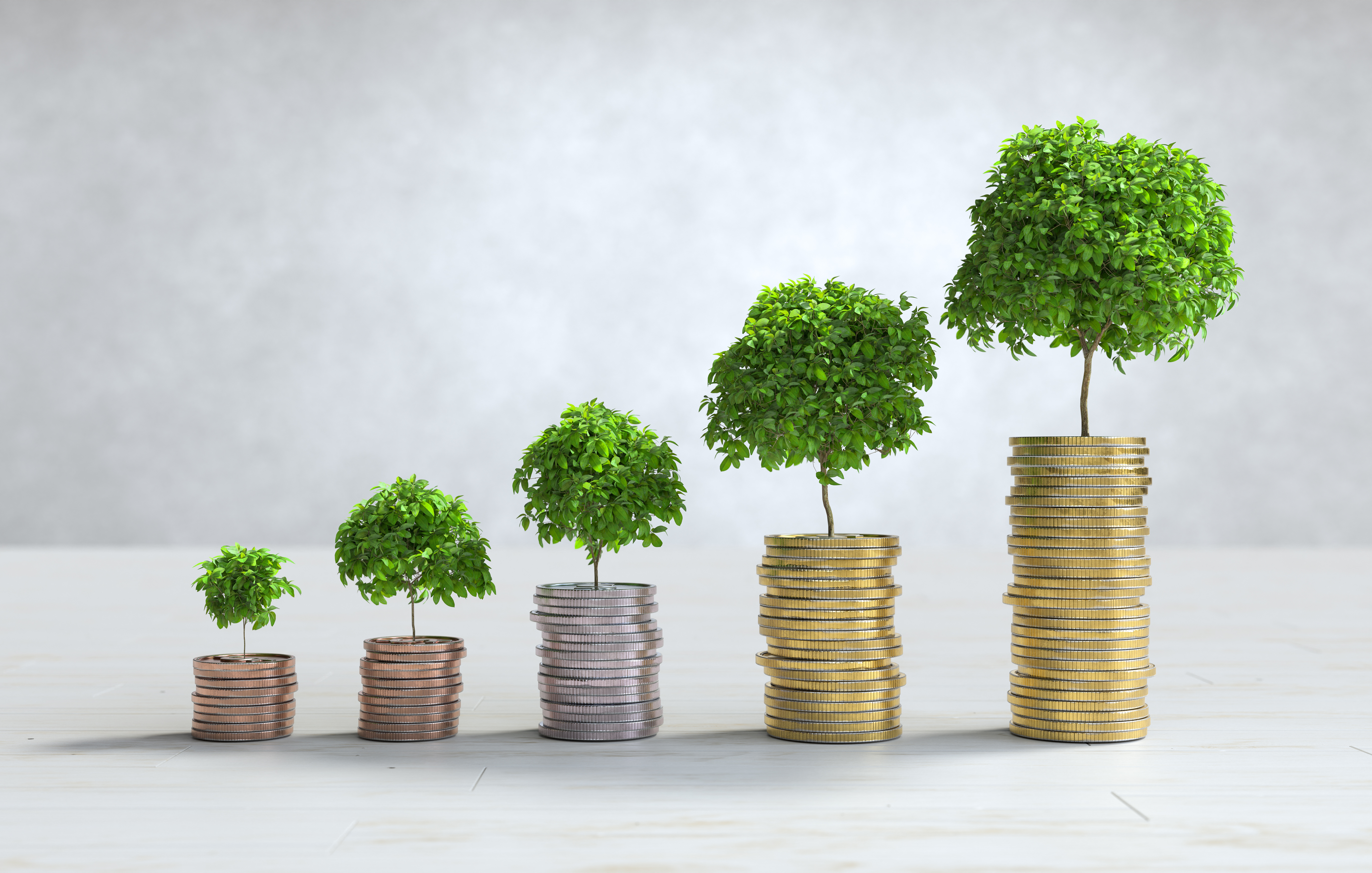 Trusted UAE Corporate Tax Advisory by The Total CFO