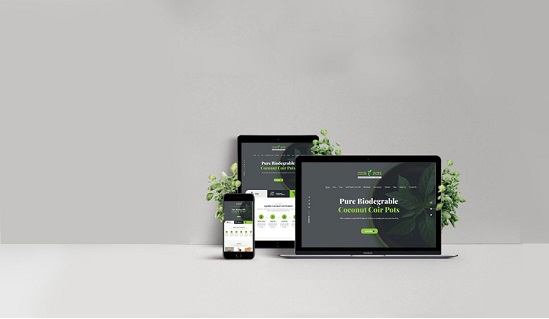 Best website development and design company in odisha