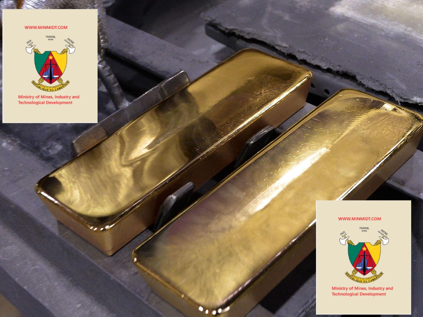 Apply for a Gold Mandate License - Minmidt.com