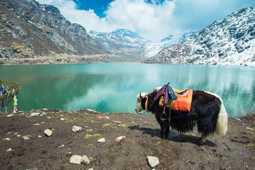 Gangtok Tour Planner in West Bengal