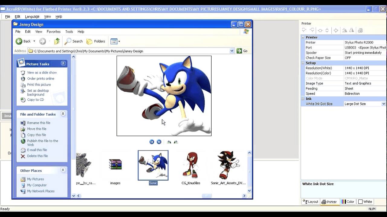 Needs A Printer RIP Software Application for Printing Business
