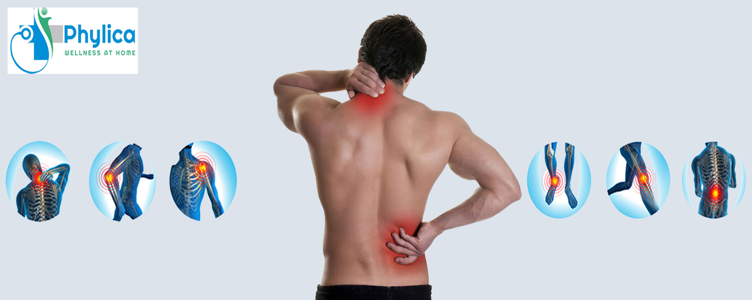 Phylica Healthcare - Home Physical Therapy for Seniors