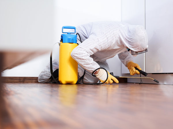 Mold Removal & Remediation Services Available - Contact Hood Technologies Fire & Safety Inc.