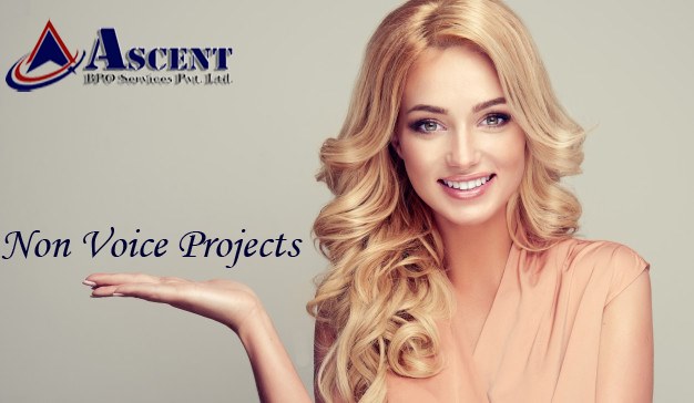 Data Entry Projects Providing in India