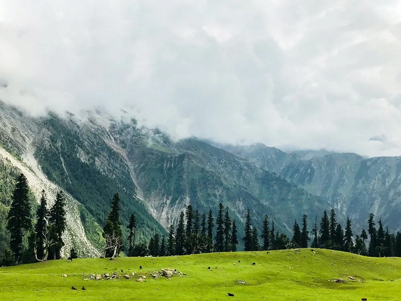 Kashmir Tour Package - Kashmir Travel package - Hermes Voyages