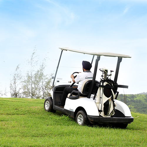 Electric Golf Buggies in India