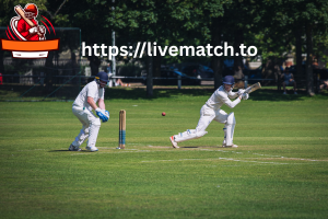 Power Hitters Crushing T20 Cricket with Most Sixes in 2025