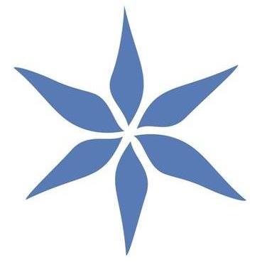 Phyto-C Skin Care (Phytoceuticals Skin Care)