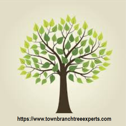 Tree Service Leads