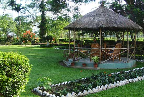 Dooars package tour from Kolkata