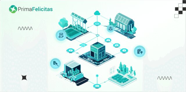 Trusted Blockchain Consulting Company for End-to-End Strategy & Advisory