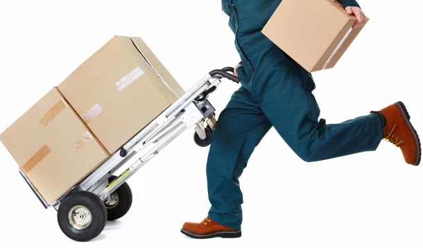 Looking Packers and Movers in Panipat Call 93 16 46 60 01