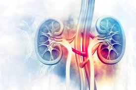9801040490Best nephrologist in patna | Best nephrology in patnaDr. Vinod Kumar Singh ( EX. Prof. & Head nephrology PMCH ) | Splendid Kidney Hospital & Research Centre