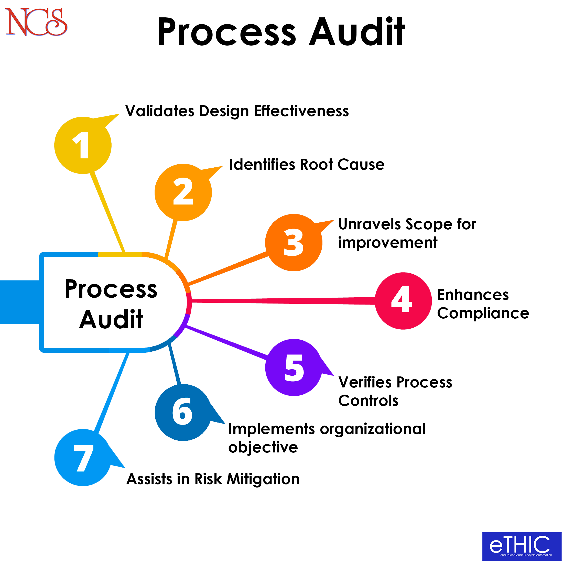 Process Audit