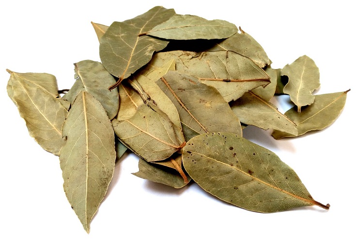 Buy Bay Leaves Wholesale online | Vyom overseas