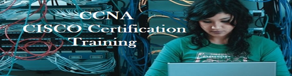 4/6 Weeks Summer Training On CCNA | 9510-860-860