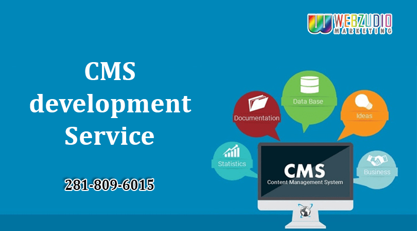 CMS development Service Houston