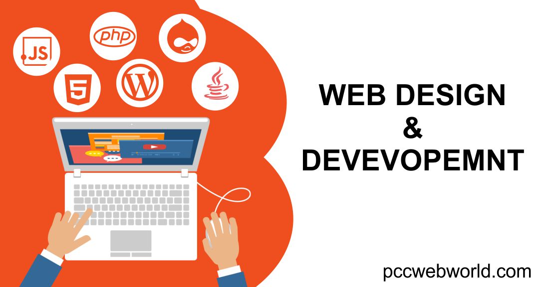 Website Design and Development Company in Delhi