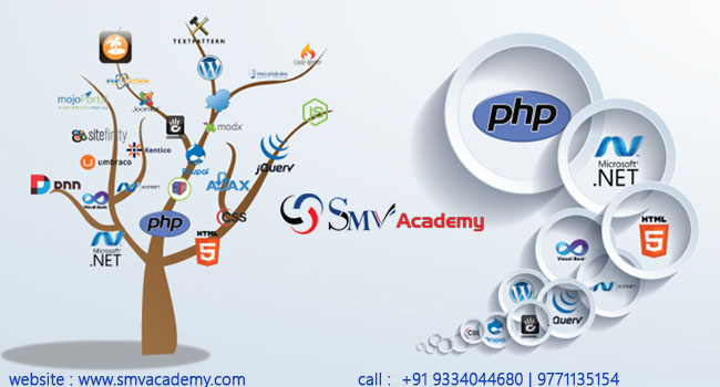 website development |web application development Company in patna::SMV