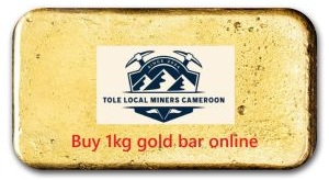 Buy Gold in Cameroon - tolelocalminers.com