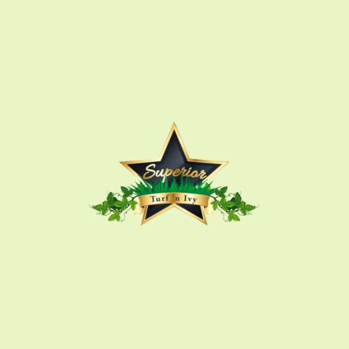 Superior Artificial Turf n Ivy