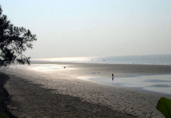 Tour Operator For Frazerganj