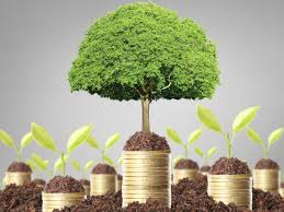 Startup Your Business At 3% Rate Loan Apply Now