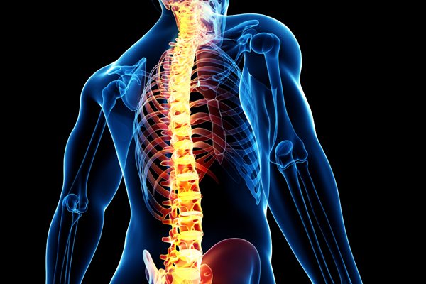 Searching best Spine Surgeon in Delhi