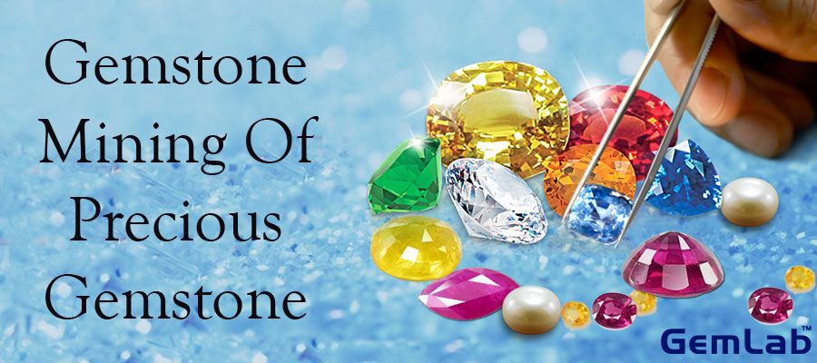 gems laboratory supplier in delhi