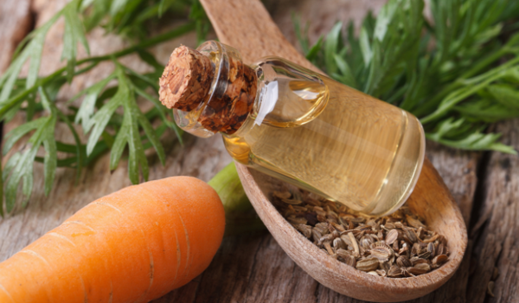 The Amazing Skincare Benefits of Carrot Seed Essential Oil