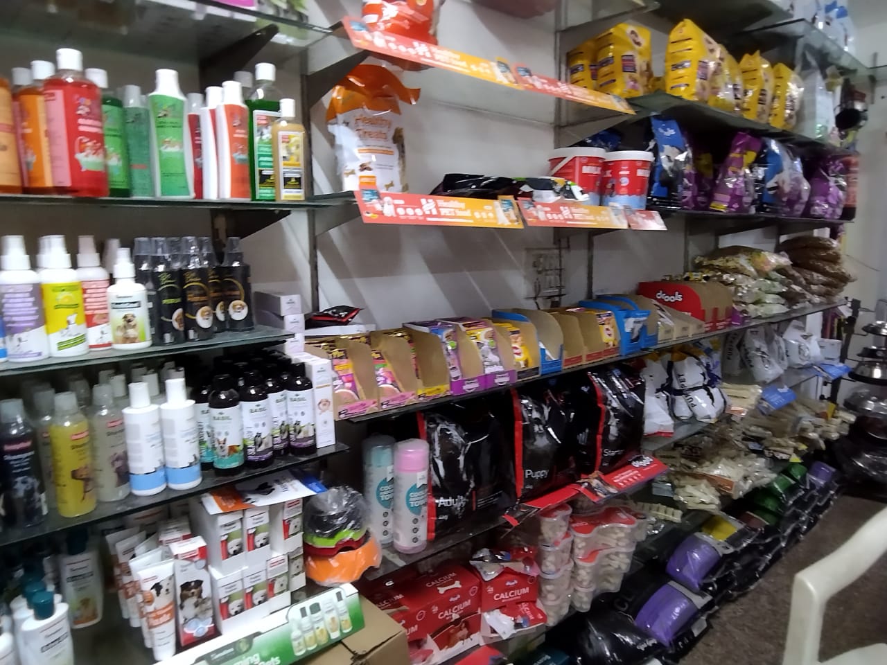 Rohini pets hospital in delhi